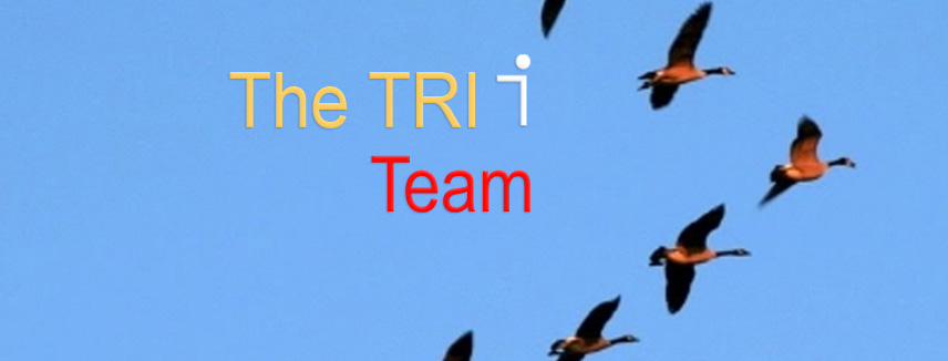 Meet the Tri I Team