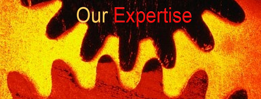 Tri I Areas of Expertise